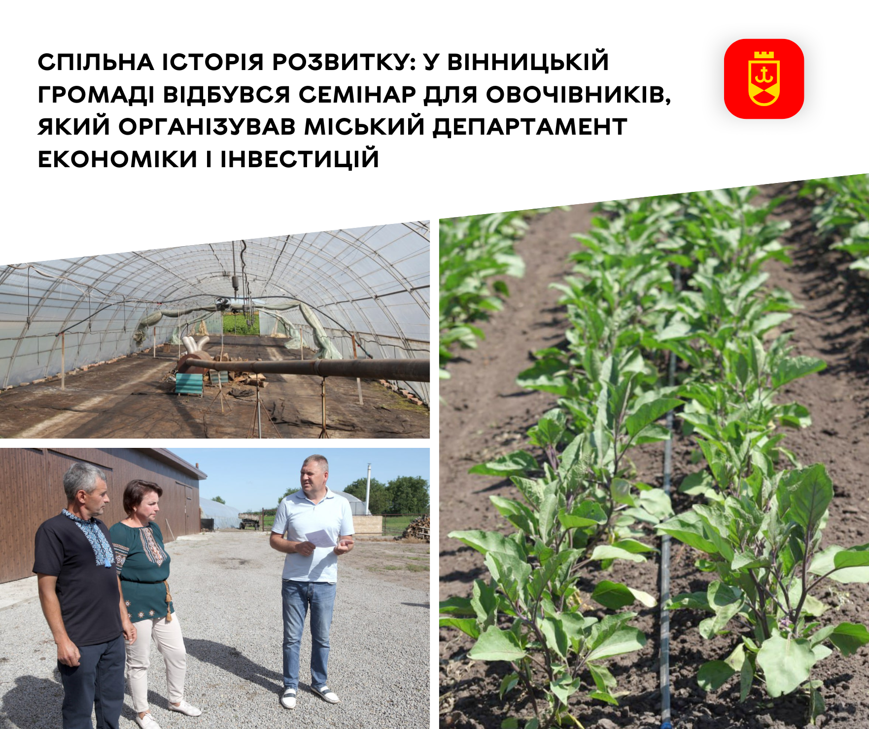 Спільна історія розвитку: у Вінницькій громаді відбувся семінар для овочівників, який організував міський департамент економіки і інвестицій 